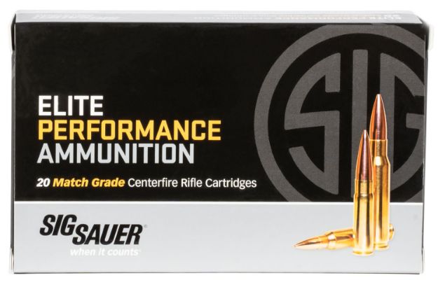 Picture of SIG E3WMM1-20 MARKSMAN E 300 190 OTM 20/10