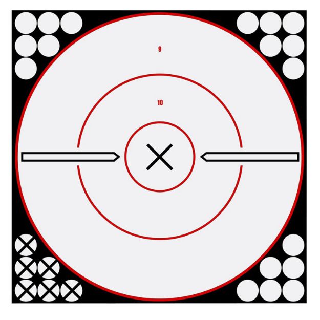 Picture of BIR 34019 SHOOT-N-C 12"BLLSYE WHT/BLK 5PK