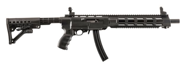 Picture of PRO AA556REX ARCH 10/22 CONV STK RAIL