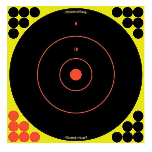 Picture of BIR 34022 SHOOT-N-C 12" BULLSEYE 12PK
