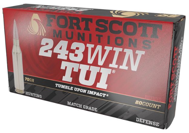 Picture of FSM 243-070-SCV 243 70G SCS TUI 20/10