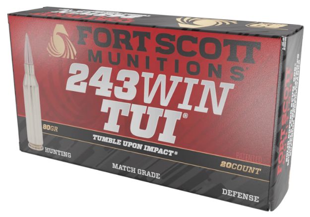 Picture of FSM 243-080-SCV 243 80G SCS TUI 20/10