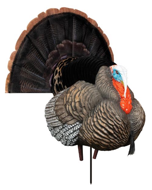 Picture of HIGDON 63148 APEX STRUTTER HARD BODY TURKEY