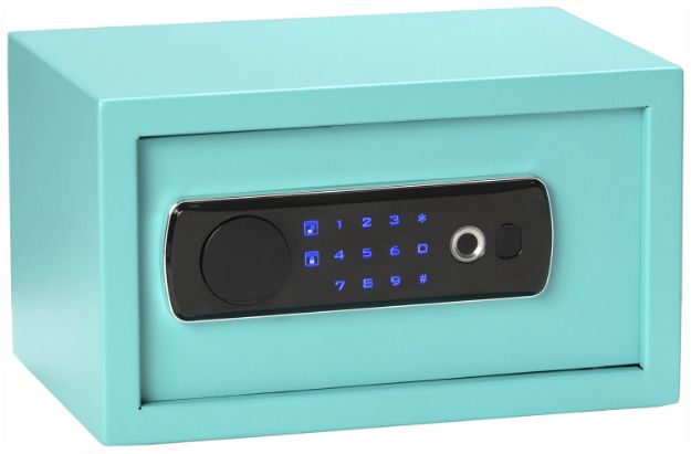 Picture of BDOG BD5012 DUO LED/BIO PSTL VAULT