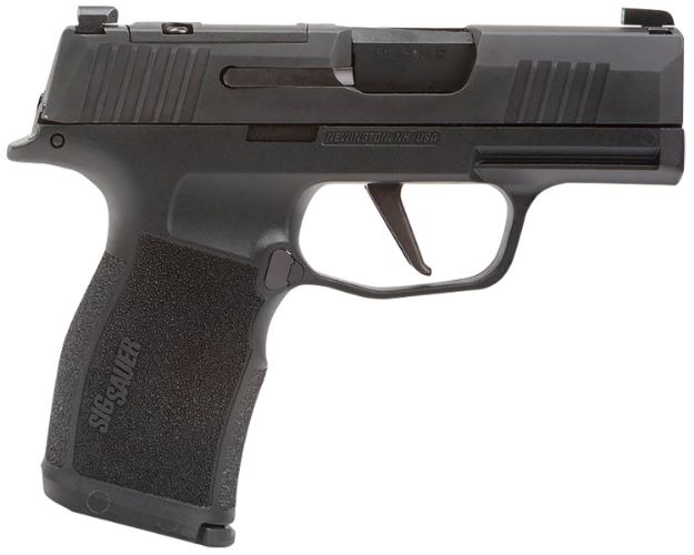 Picture of SIG 365X9BXR3PMS P365 9MM XS MS 3.1 12R BLK