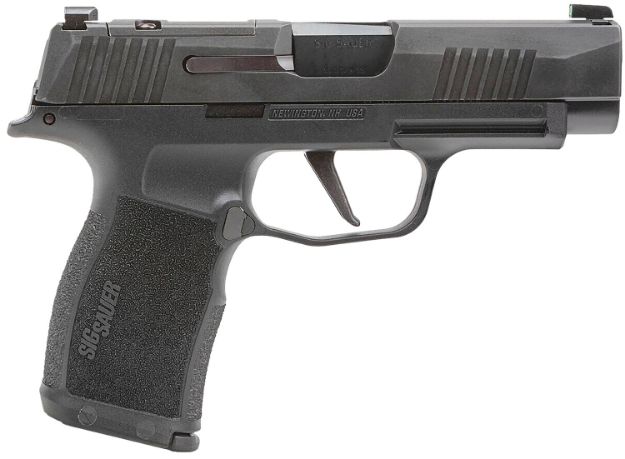 Picture of SIG 365XL9BXR3P10 P365 9MM XS 3.7 10R BLK