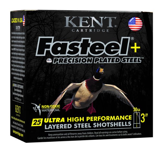 Picture of KENT K203FSP282X4 FASTSTL+PP 20 3IN 4 1OZ 25/10