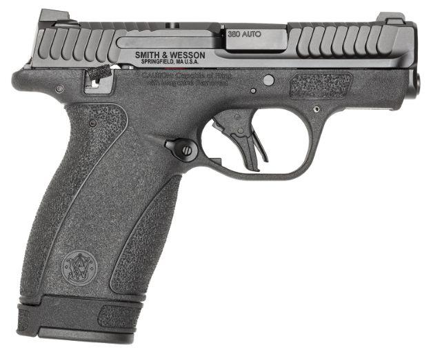 Picture of S&W BODYGRD 2.0 13926 380 TS 2.75 10/12R BLK