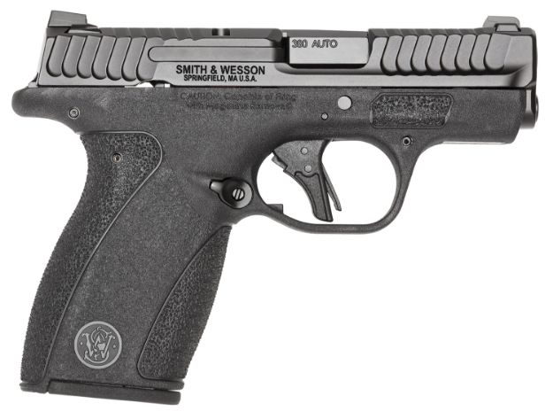 Picture of S&W BODYGRD 2.0 13927 380 2.75 10/12R BLK