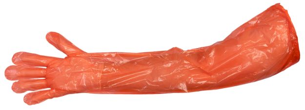 Picture of HS 01071 GLOVE FIELD DRSG DELUXE 2PR