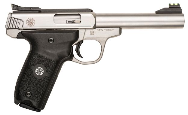 Picture of S&W*VICTORY 108490 SW22 22LR FS 5.5 10R SLV