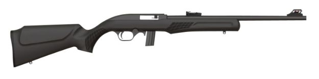 Picture of ROSSI RS22L1811TH RS22 THRD 22LR 18 10R BLK