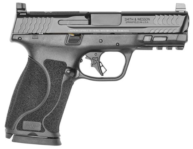 Picture of S&W*M&P10 13389 10M OR 2.0 NTS 4 15R BLK