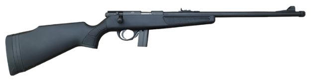 Picture of ROCKI 51168 YTA BA RIFLE 22LR 18 10R BLK