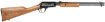 Picture of ROSSI RP22181WDEN07 GALLERY ENGR 22LR 18 15R HDWD