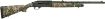 Picture of MOSS 75801 SA-20 20 22 MOGREEN