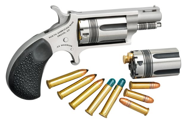 Picture of NAA 22MSCTW WASP 22LR/22MAG 1 1/8IN