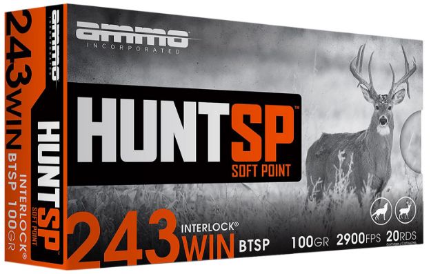 Picture of AMMOINC 243W100SPA20 HUNT SP 243 100GR 20/10