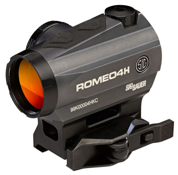 Picture of SIG SOR43013 ROMEO4H 1X20 2 HORSESHOE DOT GRY