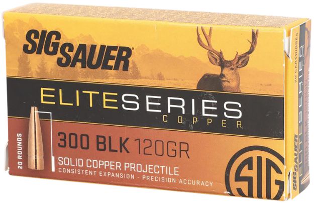 Picture of SIG E3006H1-20 ELITE HUNT 3006 150 GR 20/10