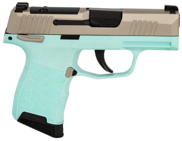 Picture of SIG 365380REBMS P365 380 XR3MS 3.1 10R TRQ