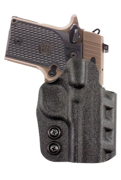 Picture of DES D94KA1RZ0 CAZZUTO S&W M&P 9 SHIELD EZ