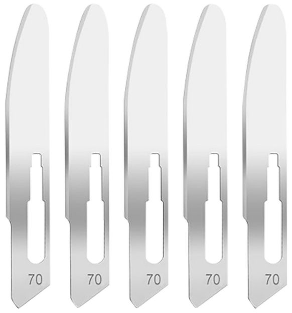 Picture of HOG 35887 EXPEL SCALPEL #70 STYLE BLADES