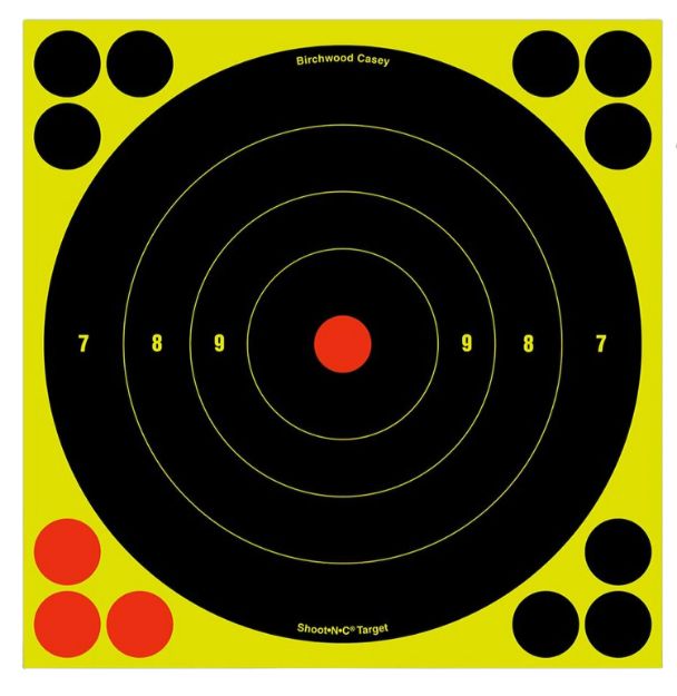 Picture of BIR 34805 SHOOT-N-C 8" BULLSEYE 6PK