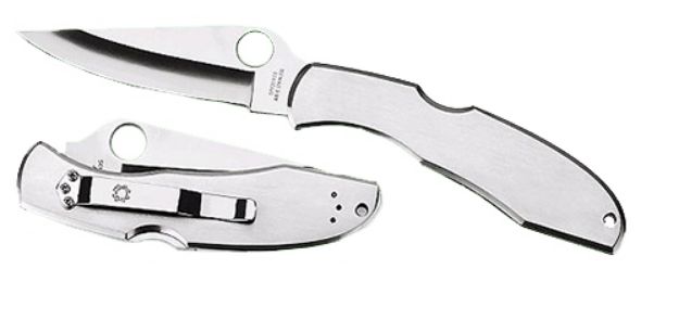 Picture of SPY C10P ENDURA 2 PLN DP 3.88 SS