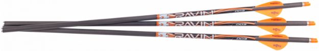 Picture of RAVIN R133 MATCH WGHT LGHTD ARROWS 400GR 003 3PK