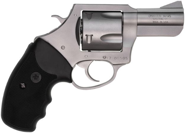 Picture of CHA 74520 PITBULL 45ACP 2.5 5SHOT SS