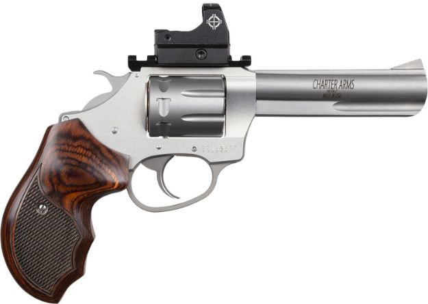 Picture of CHA 72245 TARGET PATHFNDR 22LR 4.2 8SHT OR SS