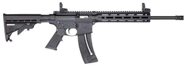 Picture of S&W M&P15-22 SPORT 14375 HL HEARING BAG BUNDLE