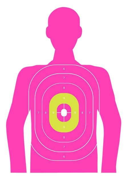 Picture of ALLEN 15653 EZ AIM TRGT 23X35 IN THE PNK SILH 3PK