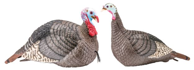 Picture of HS 100005 STRUT-LITE JAKE/HEN COMBO