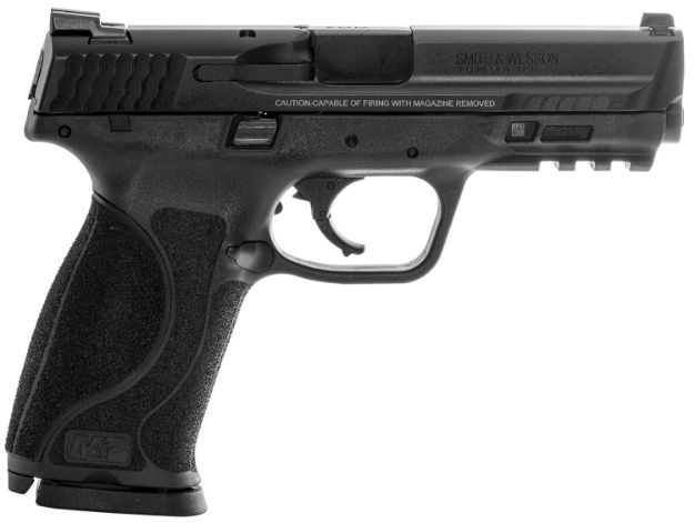 Picture of LESW 11518 M&P9 9M 4.25 2.0 NS LE