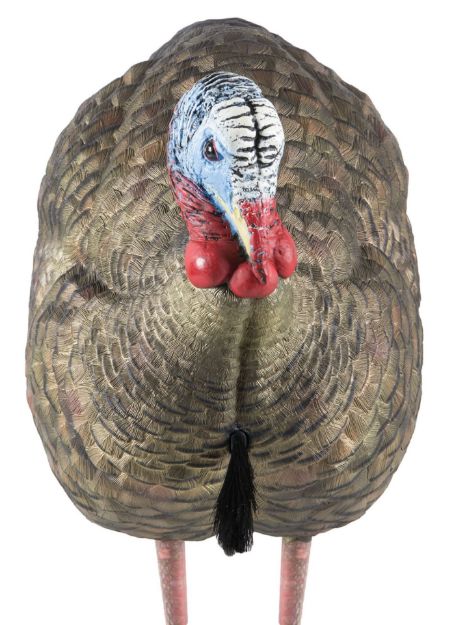 Picture of AVIAN AVXAVX8012 LCD HALF-STRUT JAKE DECOY