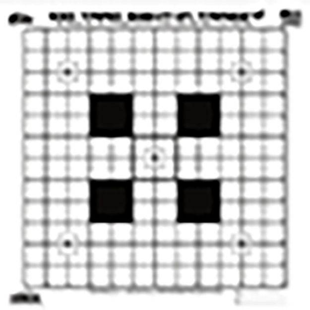Picture of PROSHOT SSIT-12PK SIGHT-IN TGT 100YD 12PK