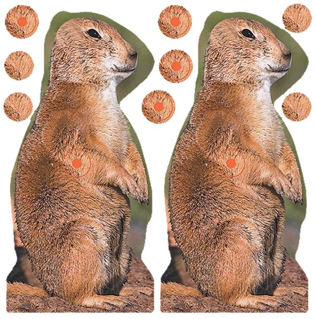 Picture of BIR 34786 SHOOT-N-C PRAIRIE CHUCK 12PK