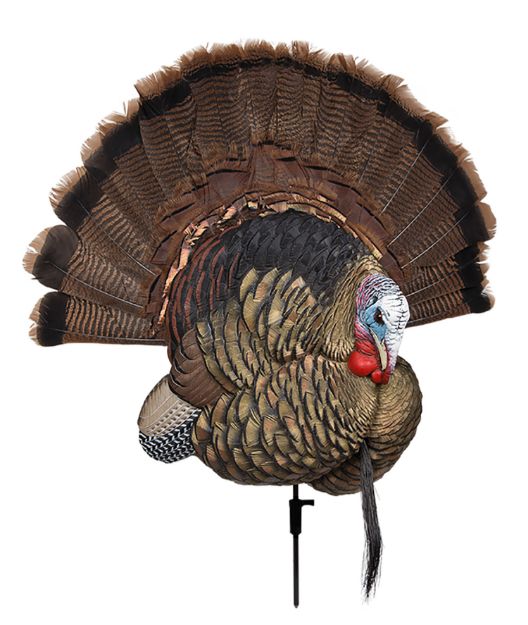 Picture of AVIAN AVXAVX8021 TROPHY TOM DECOY