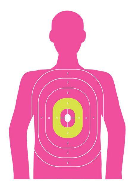 Picture of ALLEN 15646 EZ AIM TRGT 12X18 IN THE PNK SILH 8PK