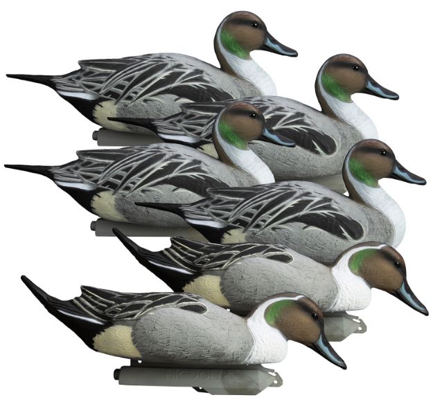 Picture of HIGDON 16544 BATTLESHIP PINTAIL FOAM FILL 6PK