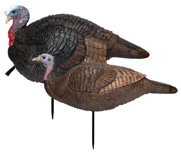 Picture of PRIM 69075 LIL GOBSTOPPER HEN AND JAKE COMBO