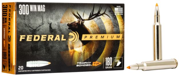 Picture of FED P300WTT1 300 180 TB 20/10