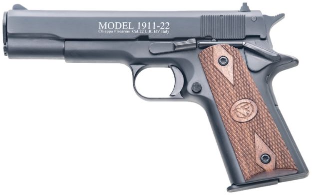Picture of CHIA 401.038 1911 22LR 5 10R BLK