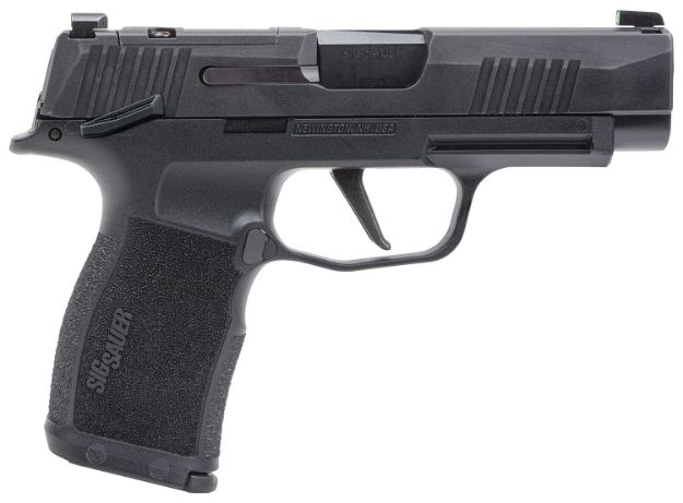 Picture of SIG 365XL9BXR3PMS10 *MA*P365 9MM XS 3.7 10R BLK