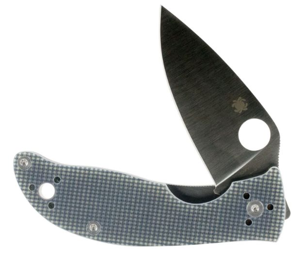 Picture of SPY C220GPGY POLESTAR G-10 PLN DP 3.30 GRY