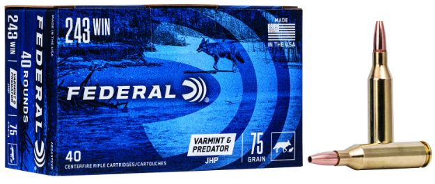 Picture of FED AE24375VP 243 75 JHPVAR 40/5