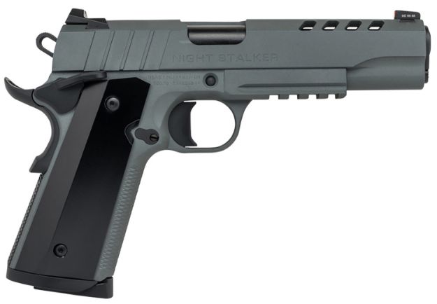 Picture of SDS 10100538 1911 NIGHTSTALKER 9MM 5IN GREY 9/9