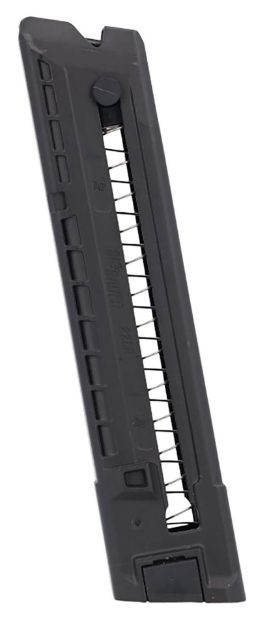 Picture of SIG 8900746 P322 22LR MAG 25R BLK